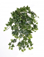 Hedera gala 65cm, UV-bestendig 